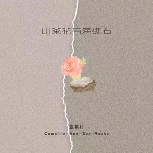 山茶花与海礁石