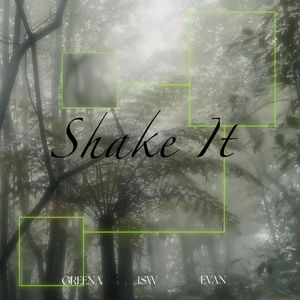 Shake It