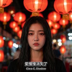 你说过会回来
