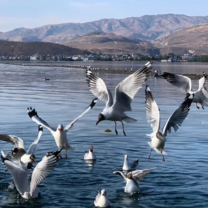 ʸᵒᵘ ᵃʳᵉ ᵇᵉˢᵗ ᶠ ᵒ ʳ ᵐᵉ ᵗʰᵃⁿᵏ ʸᵒᵘ ᵃⁿᵈ ᴵ ˡᵒᵛᵉ ʸᵒᵘㅤ