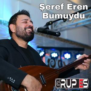 Bumuydu