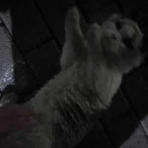 我就是自己最好的港