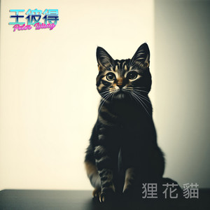 00940 申購之亂