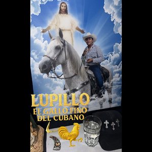 Lupillo (El Gallo Fino Del Cubano)