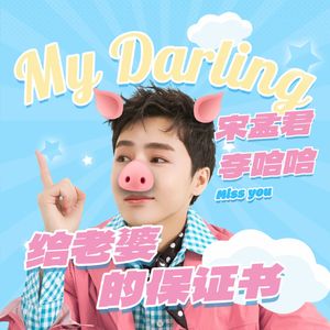 给老婆的保证书（DJ版）