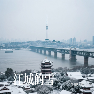 江城的雪