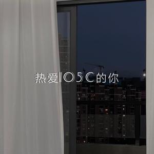 热爱105°C的你 (Wang Yl remix)