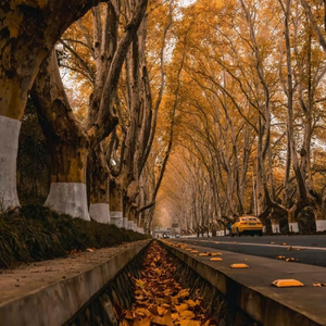 【Free】China-南京（Pop/Melodic Trap Type Beat）