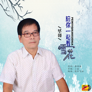 陪你一起看雪花