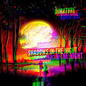 SHADOWS IN THE NIGHT