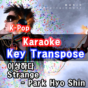 이상하다 (Karaoke With Melody)