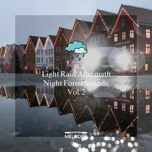 Heavy Endless Rain Aftermath