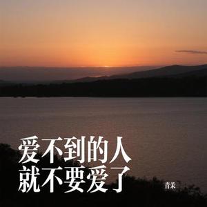 爱不到的人就不要爱了 (Cover 赵乃吉)
