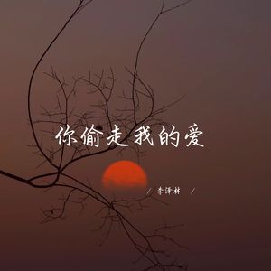 你偷走我的爱 (温柔女生版)