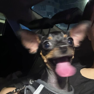 劳力士进行曲 (新版)