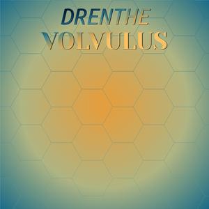 Drenthe Volvulus