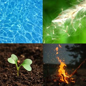 Suara Sekitar Kantor - Obrolan, Kursi, Meja, Alat Tulis, Printer, Gambar, Tulisan, Ketukan Keyboard, Ponsel, Tirai