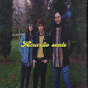 Amarillo Seeds