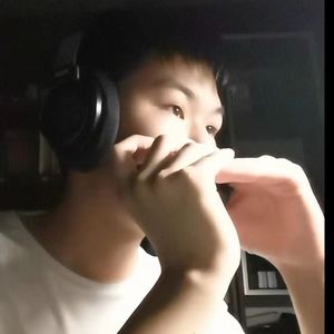 美丽之物 半音阶口琴