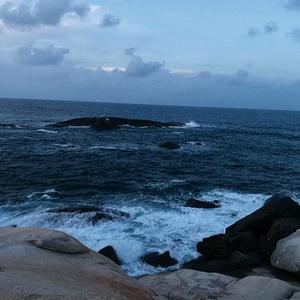 写在风中的信（0.8）