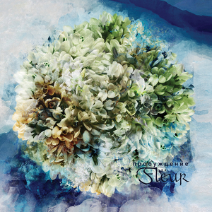 Дикое сердце