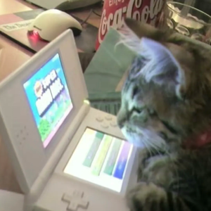 【FREE】“=^•ω•^=meow~" pluggnb千禧 type beat