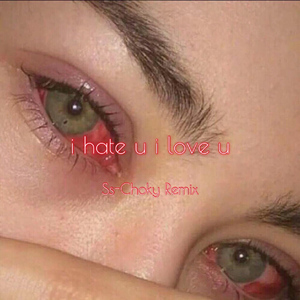 i hate u i love u (Ss-Choky Remix)