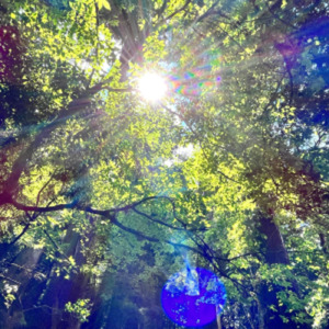 12月のある朝に (The story)