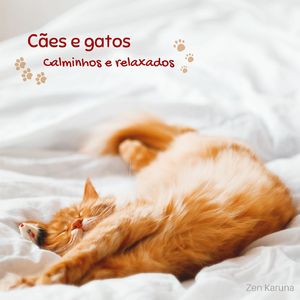 Música para manter os pets felizes
