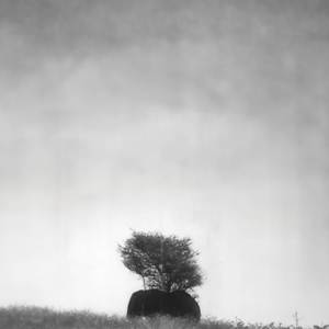 _____________aтopei