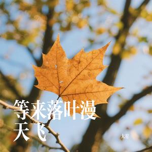 等来落叶漫天飞