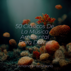 Arrullado por la canción del verano