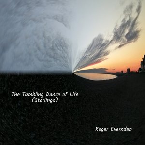 The Tumbling Dance Of Life (Starlings)