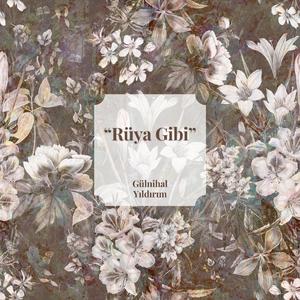 Rüya Gibi