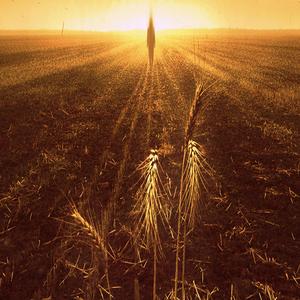 Де заборонено