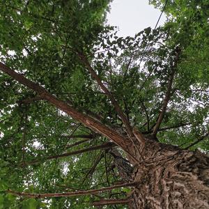 高速公路的记忆