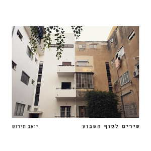 צהבהבה מחיפה סובבה לי את הראש