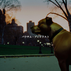 Chilled Lobby Loungers