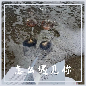 怎么遇见你(我多想拥抱你)