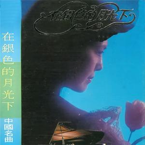 草原上升起不落的太阳