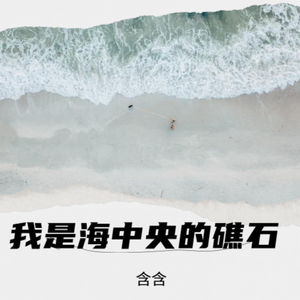 我是海中央的礁石