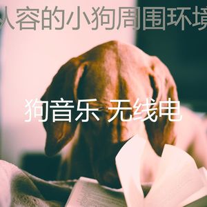 有趣可爱的狗情怀