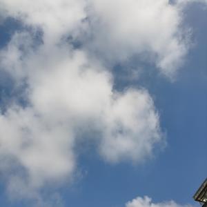 闰猹抄（cover：KBshinya)