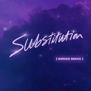Substitution (Birdee Remix) (Extended)