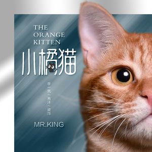 小橘猫（女声合唱版） 伴奏