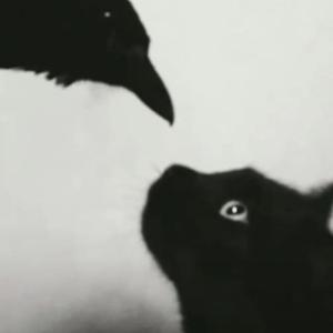 遐想（女声完整版）