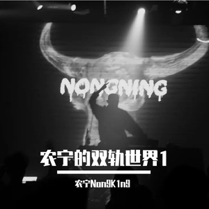 农宁的双轨世界1