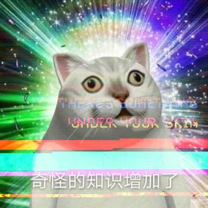 今天，你上网课了吗？（Prod by BLIV BEATS）