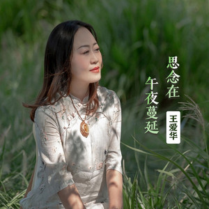 思念在午夜蔓延 (伴奏)
