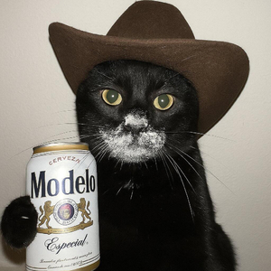 0919（我还记得我们相遇在一年前）.wav